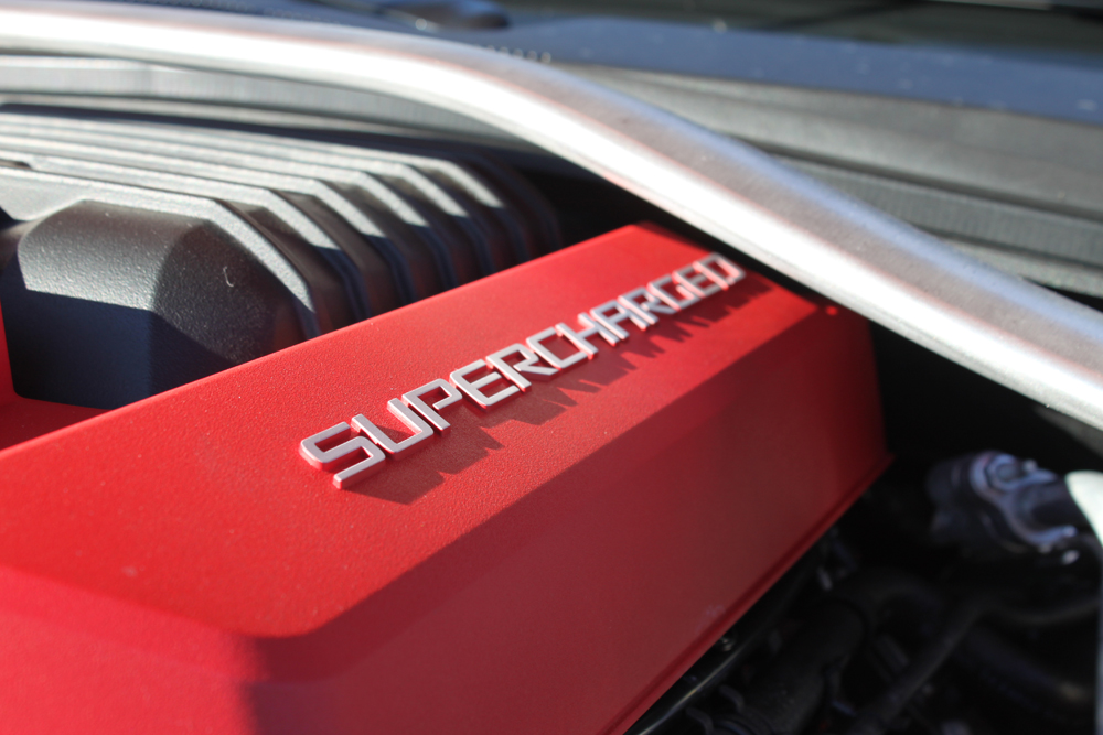 Name:  IMG_8799.JPG
Views: 15226
Size:  389.2 KB