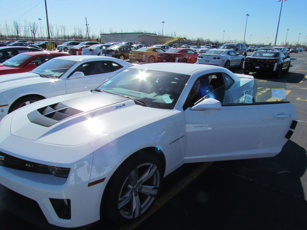 Name:  yard.jpg
Views: 1931
Size:  186.5 KB