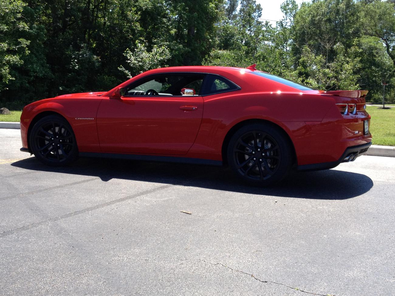 Name:  IMG_0061.jpg
Views: 3236
Size:  244.3 KB