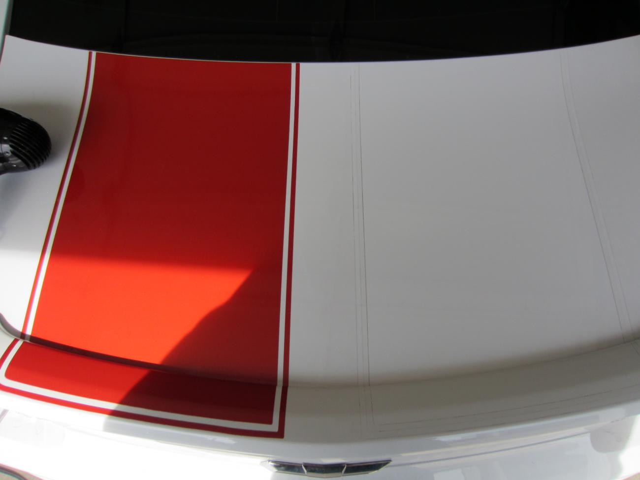 Name:  trunk1.jpg
Views: 1074
Size:  54.5 KB