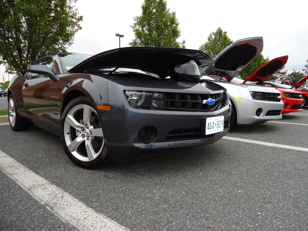 Name:  DSC00319.jpg
Views: 567
Size:  234.5 KB