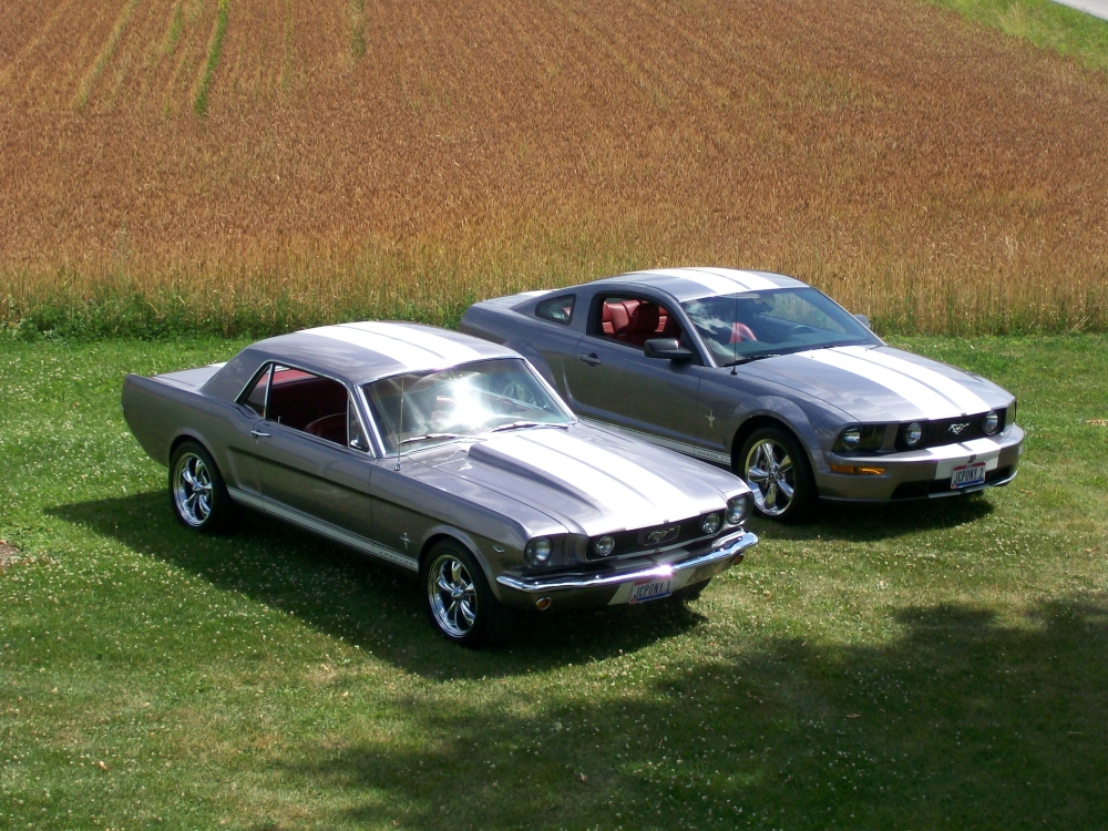 Name:  100_0156.2.JPG
Views: 948
Size:  661.2 KB