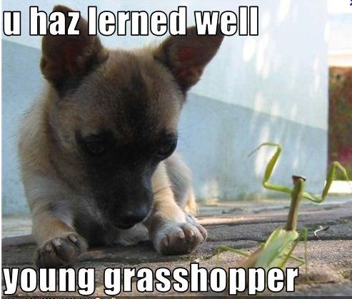 Name:  Capture.JPG
Views: 399
Size:  46.2 KB