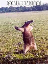 Name:  come-at-me-bro-anteater.jpg
Views: 6885
Size:  14.5 KB