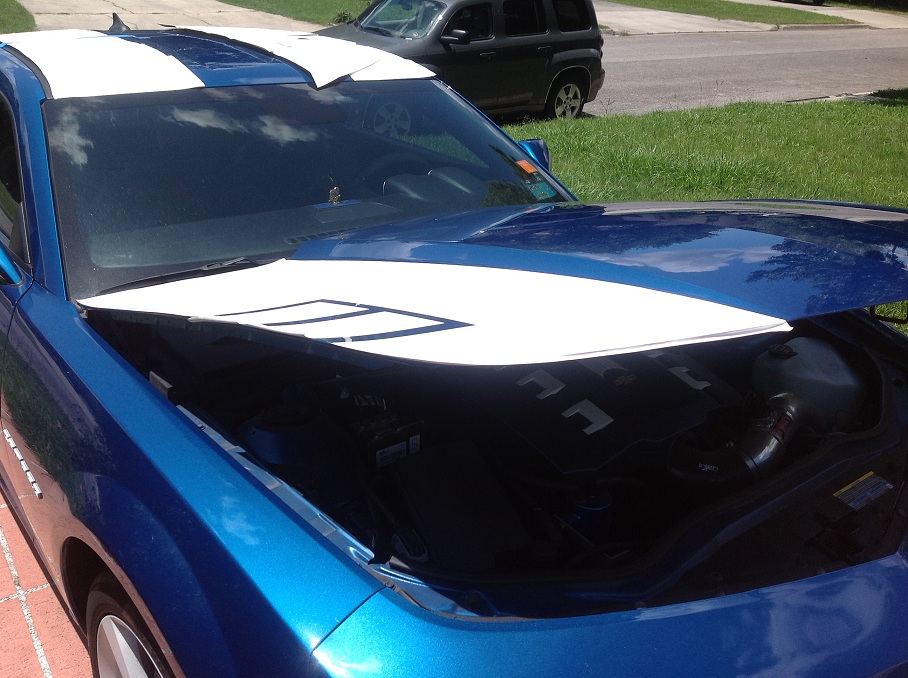 Name:  pic 8.jpg
Views: 6566
Size:  207.7 KB