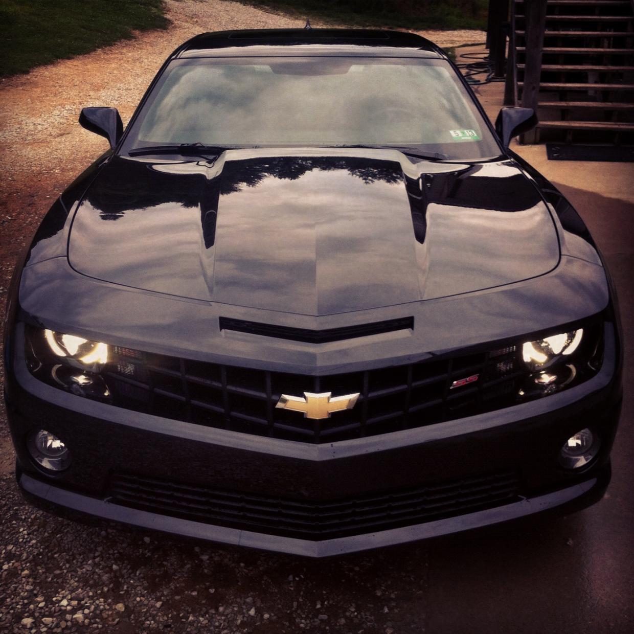 Name:  photo.jpg
Views: 778
Size:  168.5 KB