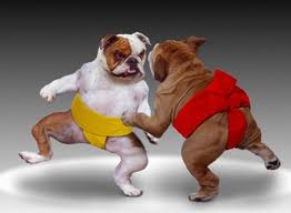 Name:  Nick P.jpg
Views: 579
Size:  6.1 KB