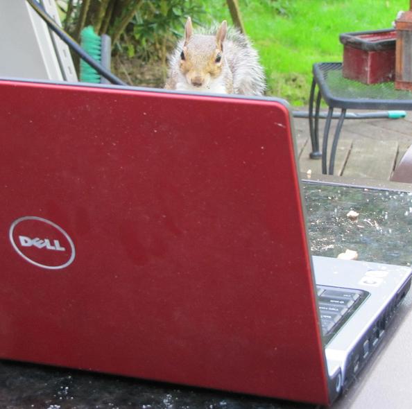 Name:  Molly 02.jpg
Views: 569
Size:  48.1 KB