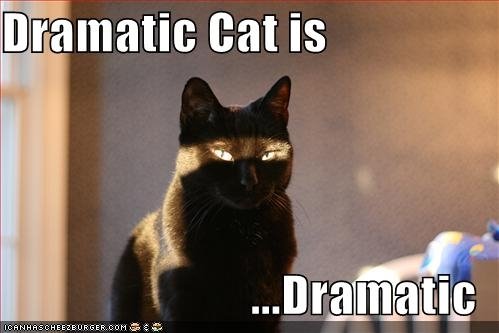 Name:  dramatic+cat.jpg
Views: 387
Size:  27.1 KB