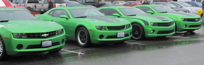 Name:  IMG_4877 resize-crop.jpg
Views: 1419
Size:  47.3 KB