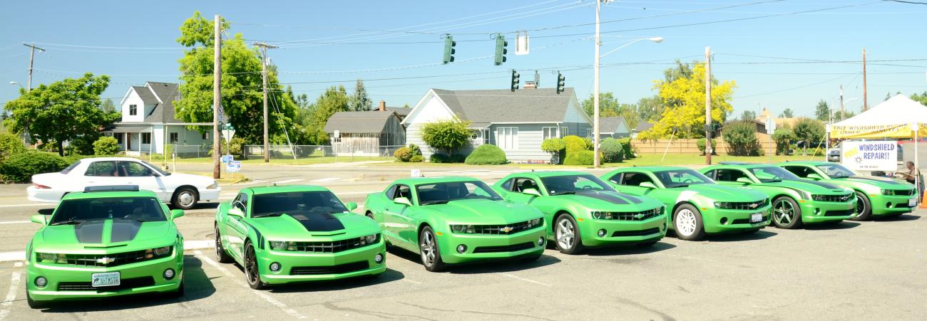 Name:  DSC_5137.jpg
Views: 1320
Size:  110.6 KB