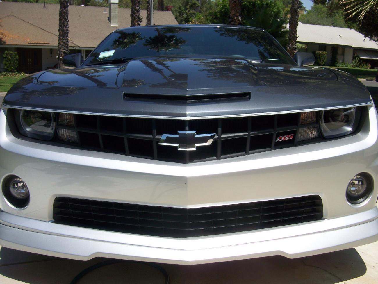 Name:  100_1976.jpg
Views: 12426
Size:  130.5 KB