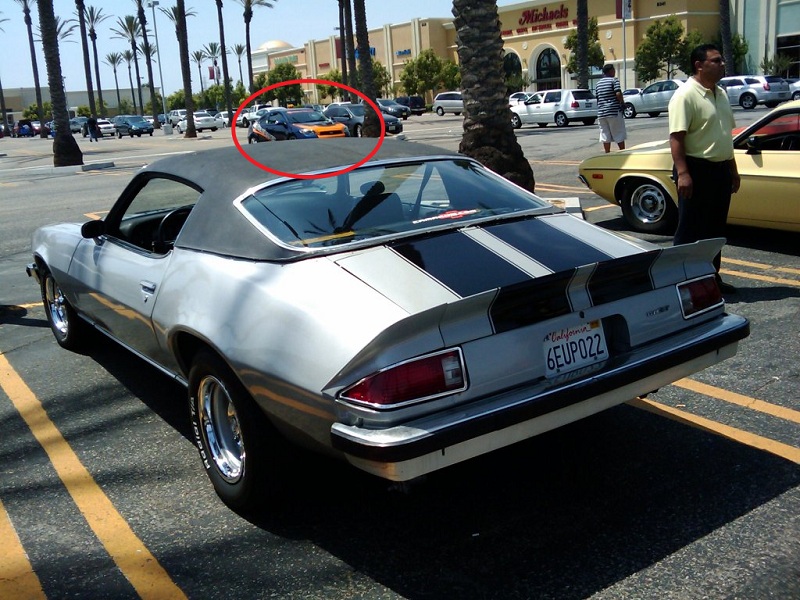 Name:  2009-07-25140158.jpg
Views: 237
Size:  208.4 KB