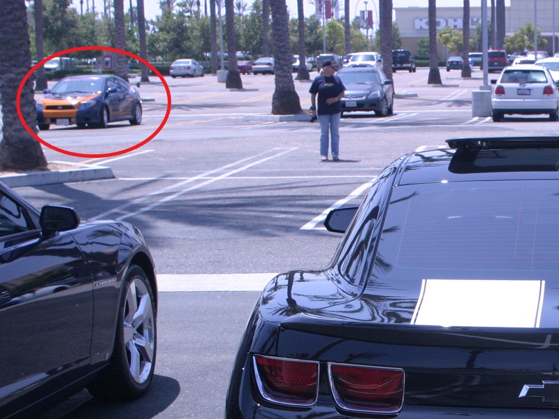 Name:  IMG_3124.jpg
Views: 311
Size:  182.1 KB