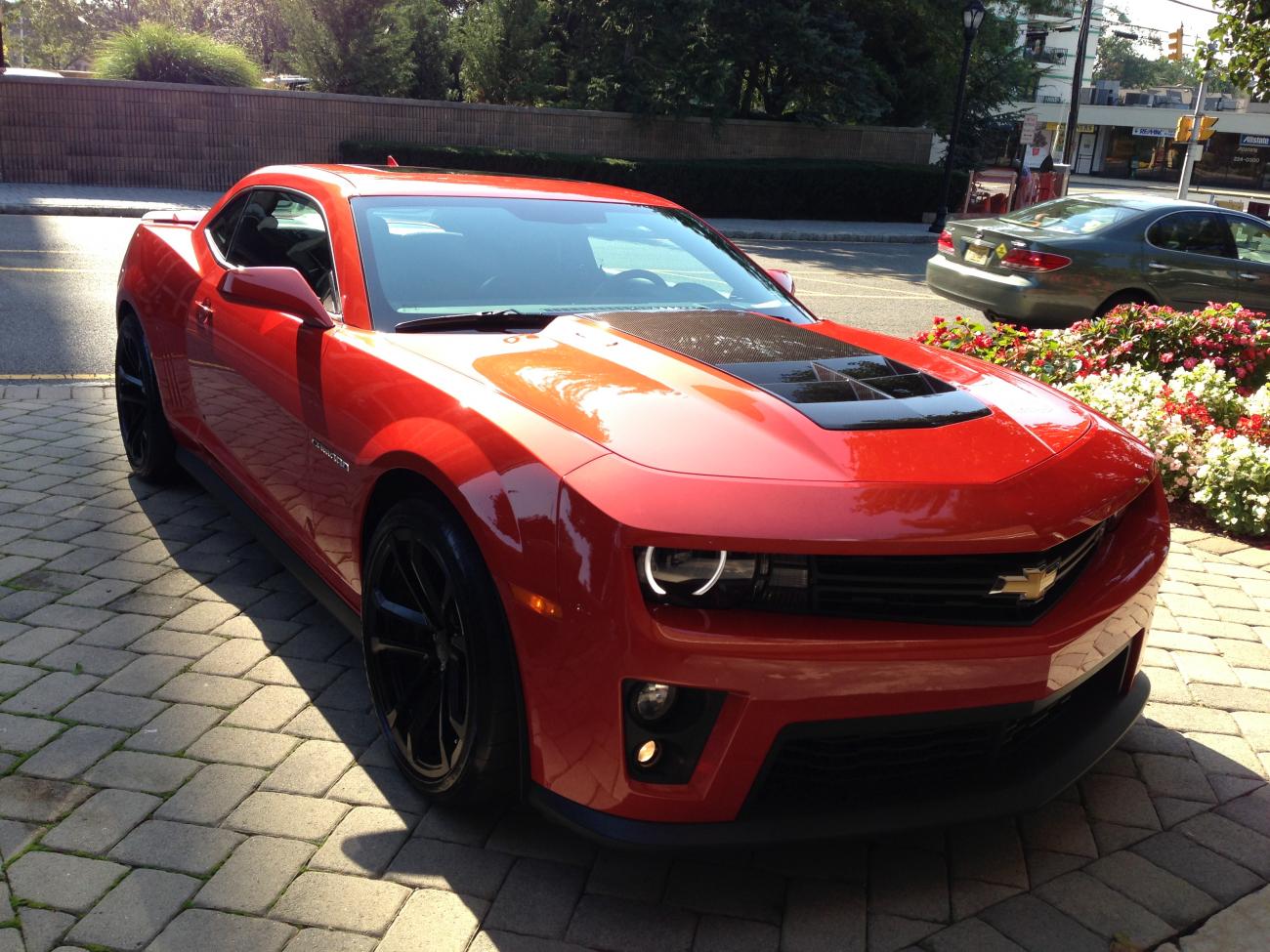 Name:  IMG_1637.jpg
Views: 4428
Size:  192.9 KB