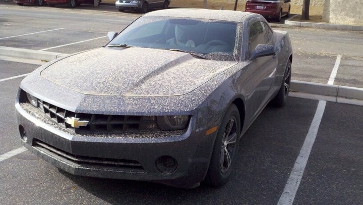 Name:  ImageUploadedByTapatalk1352074599.799105.jpg
Views: 2368
Size:  89.3 KB