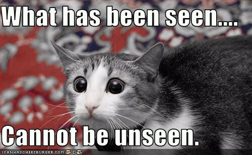 Name:  uploadfromtaptalk1353281325779.jpg
Views: 2459
Size:  52.5 KB