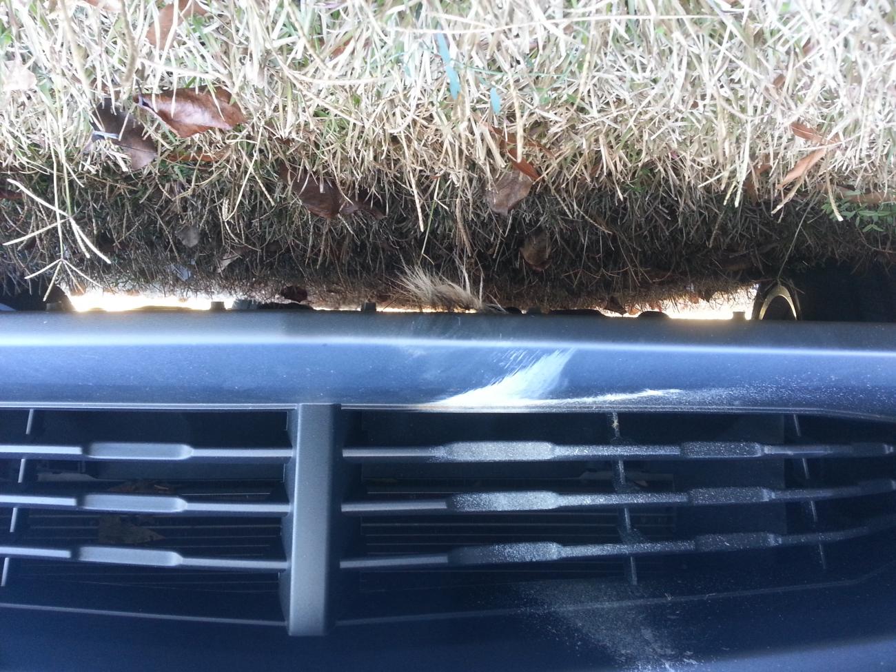 Name:  20121221_132544.jpg
Views: 811
Size:  217.2 KB