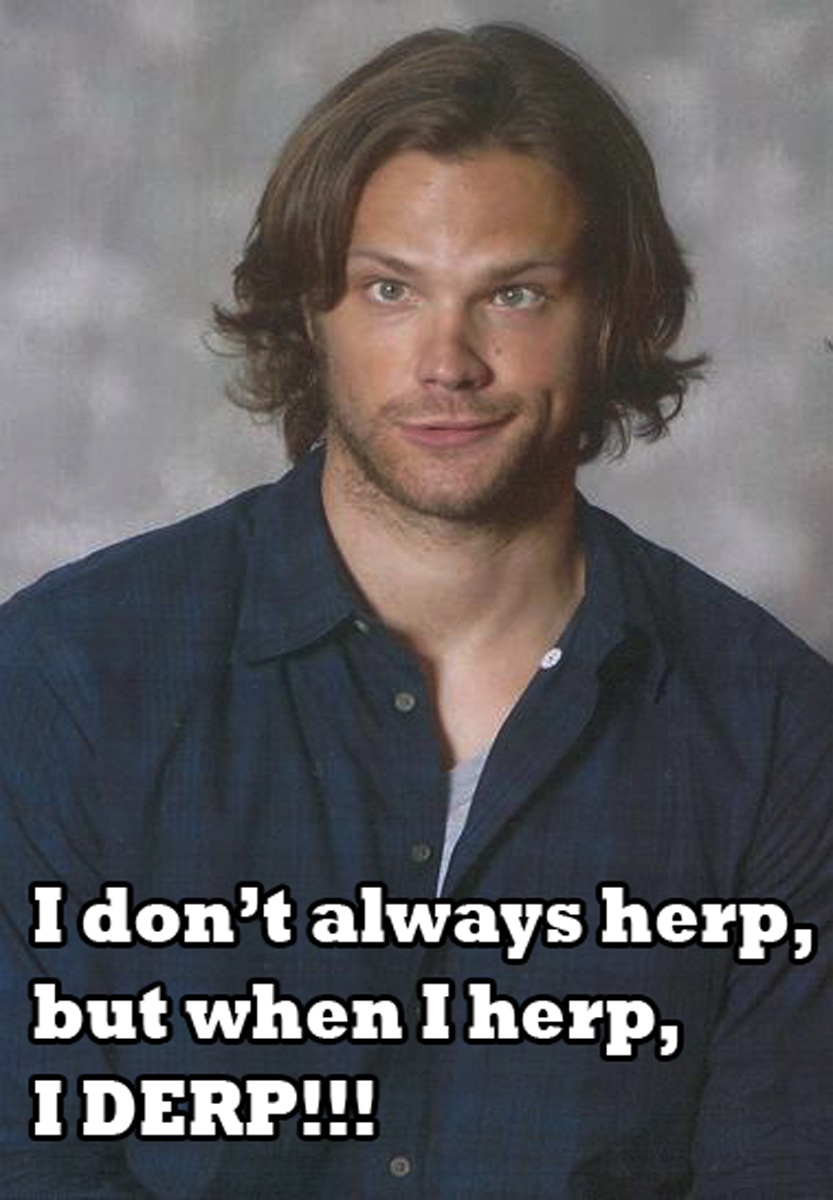 Name:  herp_derp_by_froskeilone-d3g179l.jpg
Views: 253
Size:  381.2 KB