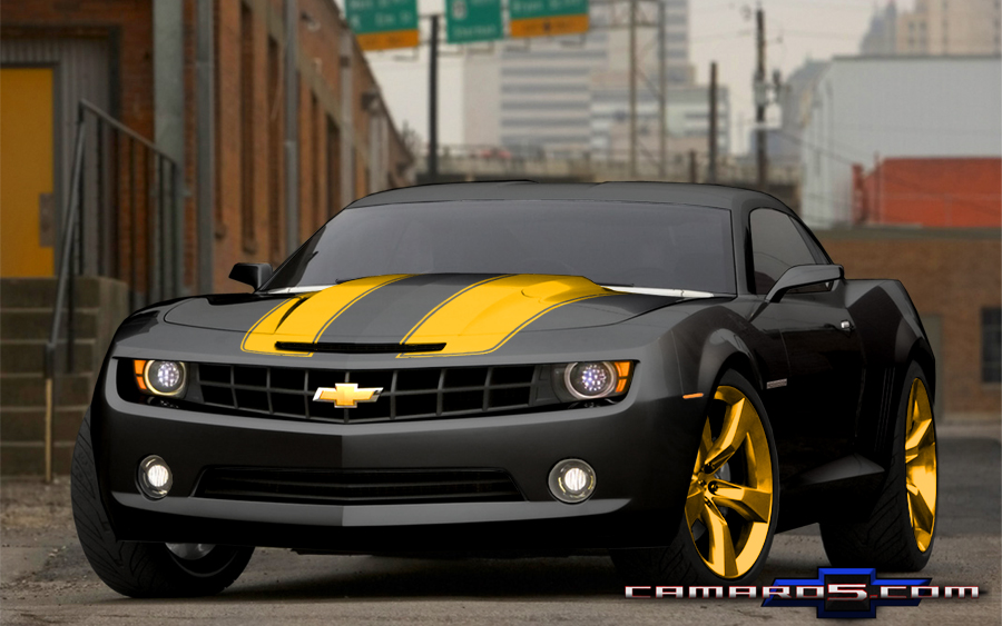 Name:  black_goldgold.JPG
Views: 1257
Size:  303.0 KB