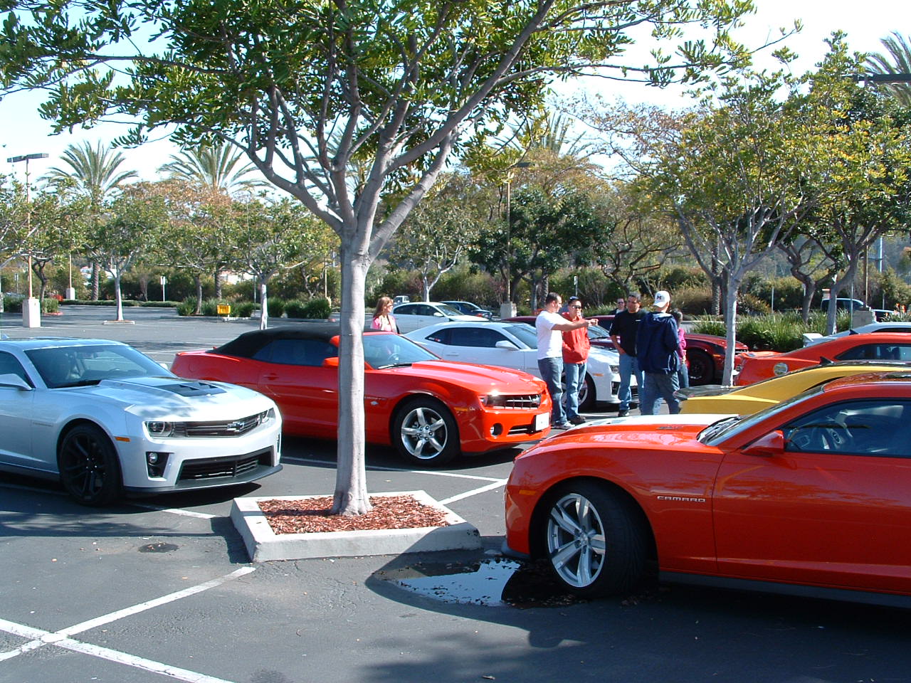 Name:  DSCF0001.JPG
Views: 504
Size:  328.7 KB