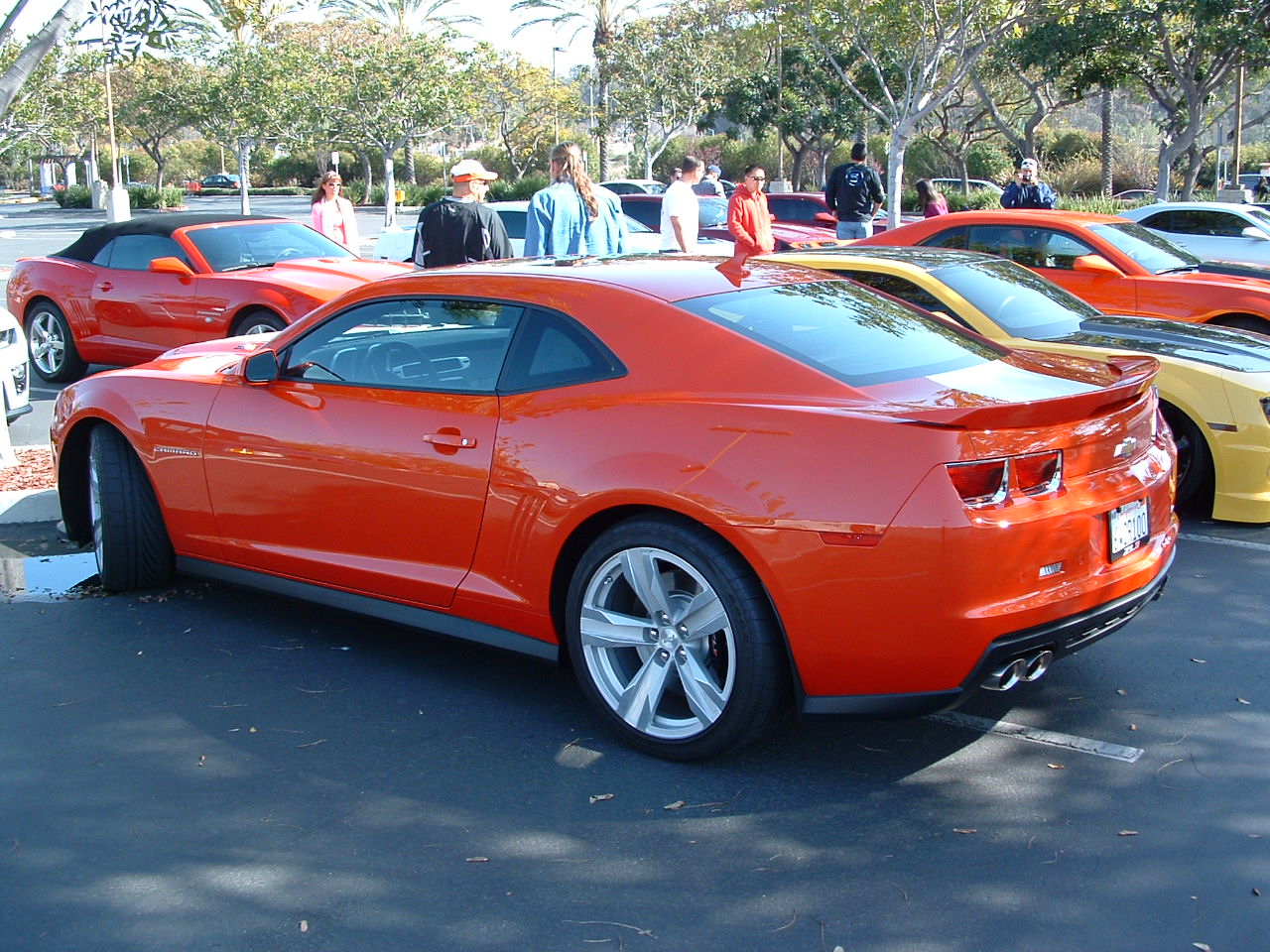 Name:  DSCF0003.JPG
Views: 508
Size:  320.0 KB