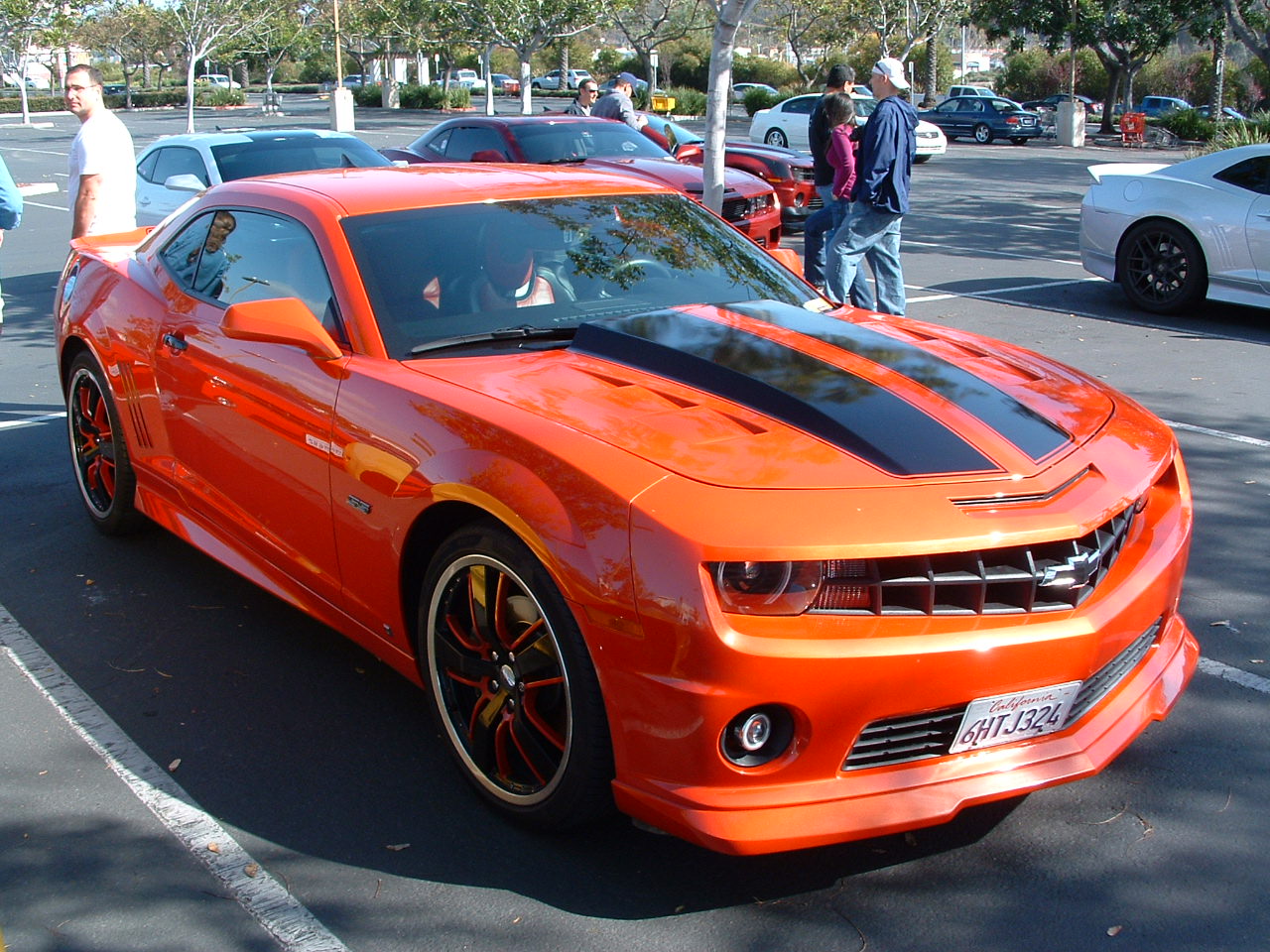 Name:  DSCF0005.JPG
Views: 411
Size:  319.5 KB