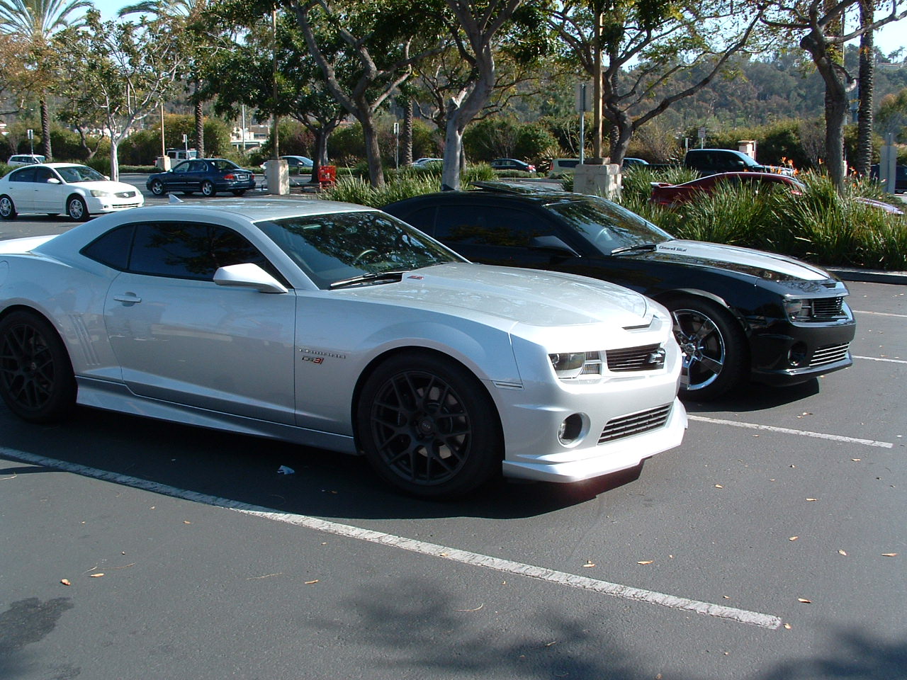 Name:  DSCF0006.JPG
Views: 517
Size:  320.6 KB