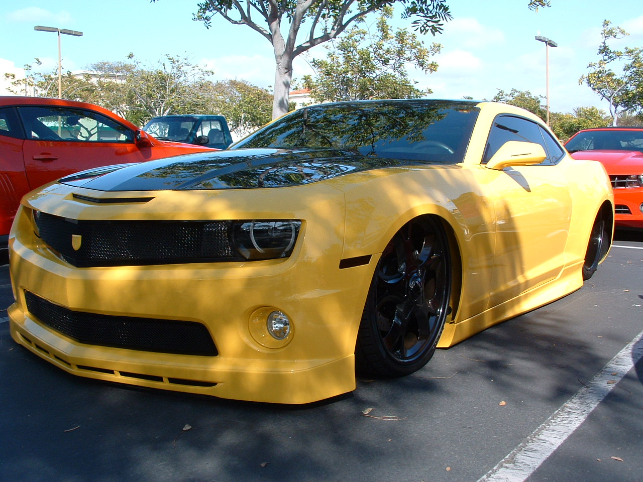 Name:  DSCF0010.JPG
Views: 428
Size:  324.9 KB