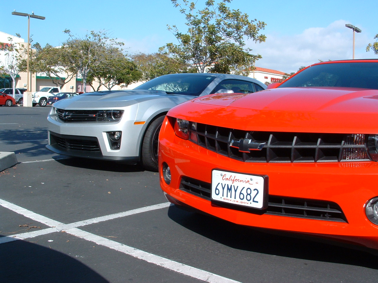 Name:  DSCF0017.JPG
Views: 465
Size:  320.7 KB