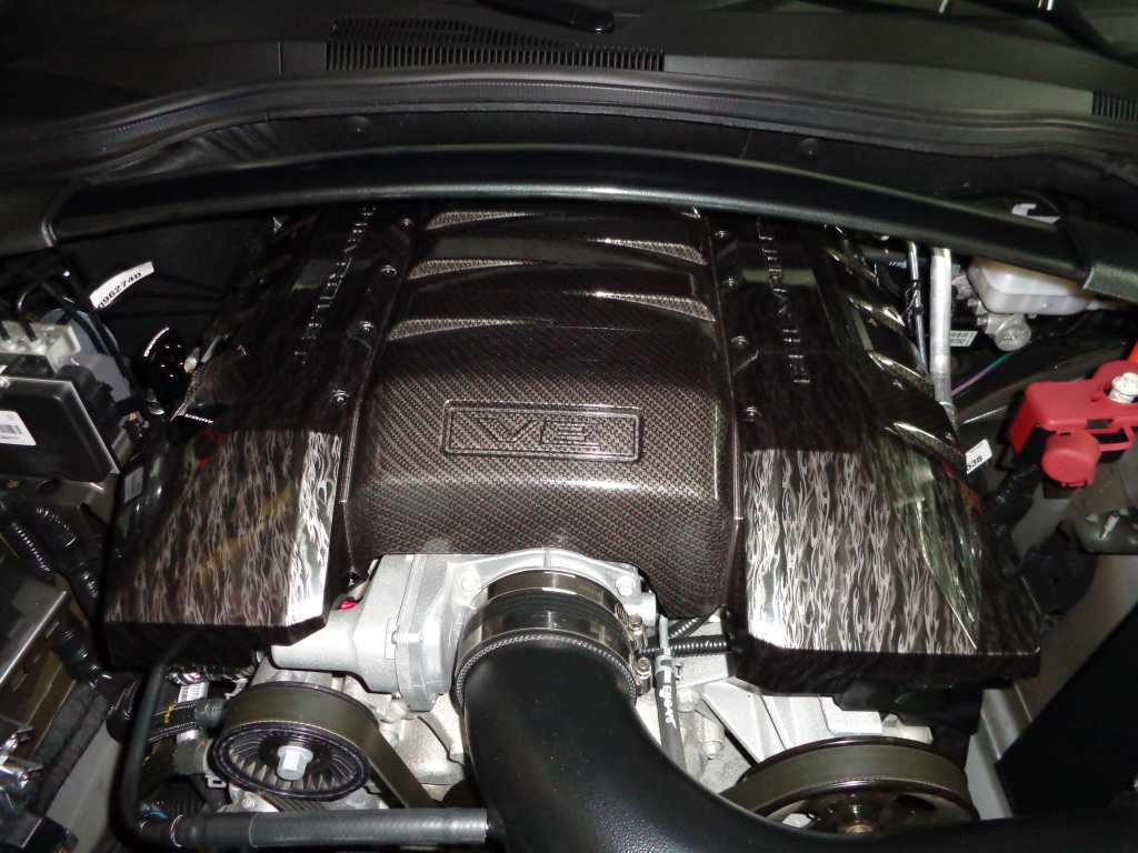 Name:  DSC00099.JPG
Views: 1438
Size:  369.4 KB