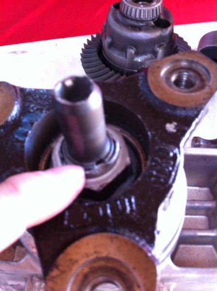 Name:  IMG_0983.jpg
Views: 7960
Size:  37.1 KB