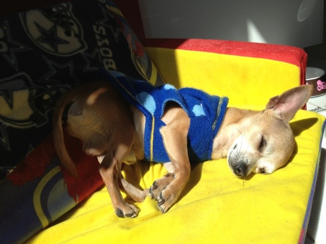 Name:  ImageUploadedByTapatalk1367342660.421743.jpg
Views: 765
Size:  76.9 KB