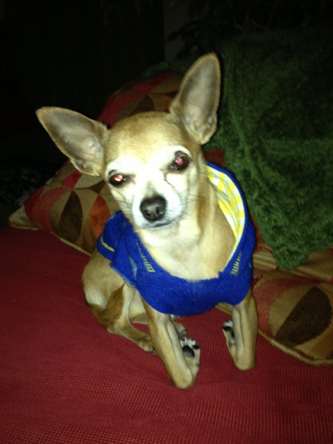 Name:  ImageUploadedByTapatalk1367342679.779084.jpg
Views: 799
Size:  64.2 KB