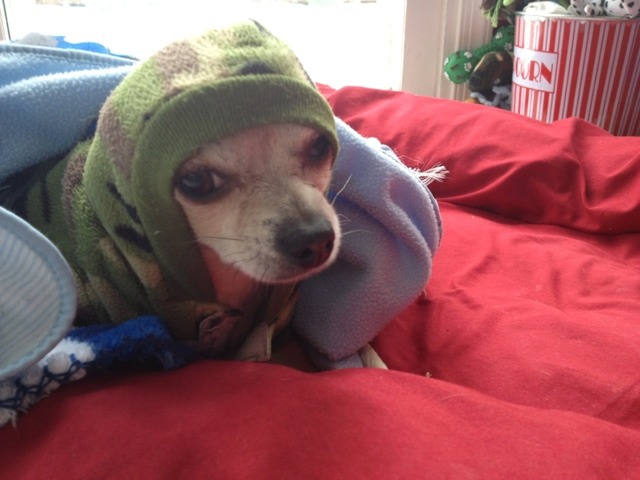 Name:  ImageUploadedByTapatalk1367342705.635041.jpg
Views: 782
Size:  65.6 KB