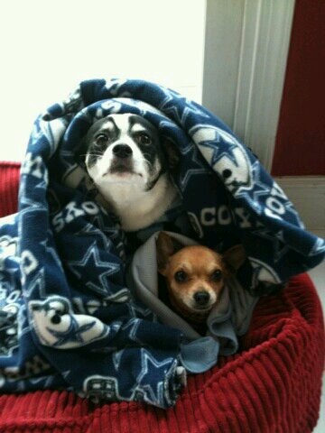 Name:  ImageUploadedByTapatalk1367342765.668957.jpg
Views: 759
Size:  45.8 KB