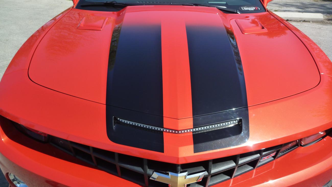 Name:  P1760646.jpg
Views: 800
Size:  83.4 KB