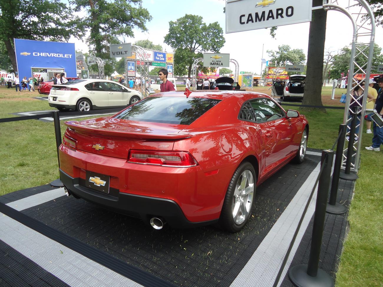 Name:  June 2013 022.jpg
Views: 478
Size:  262.3 KB