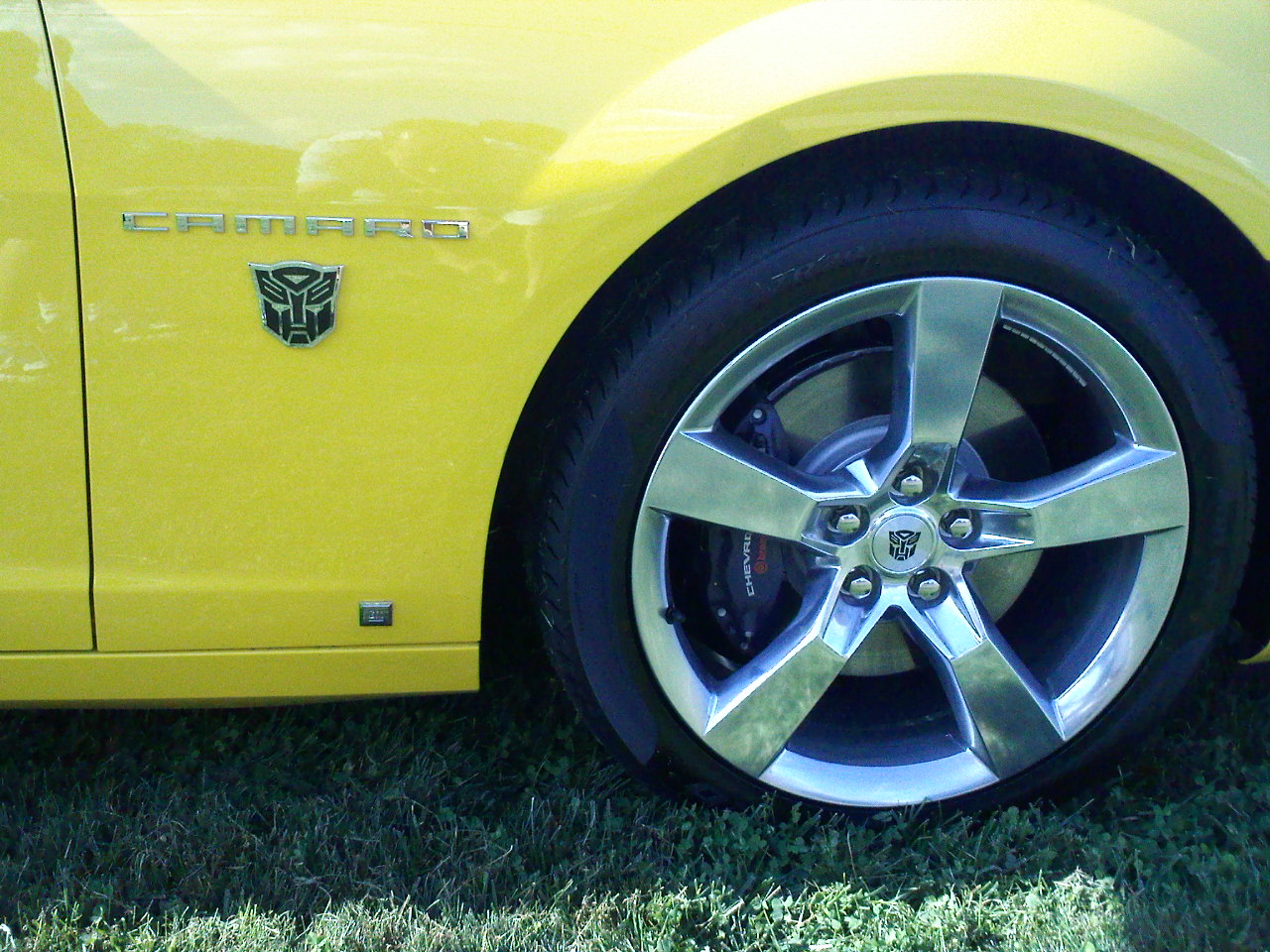 Name:  Summer2007 225.jpg
Views: 1846
Size:  326.0 KB