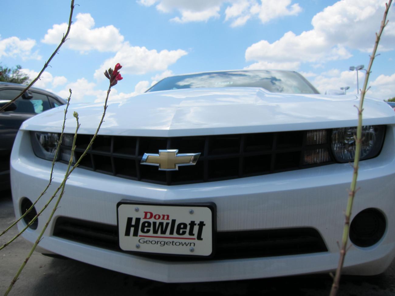 Name:  IMG_1588.jpg
Views: 897
Size:  92.7 KB