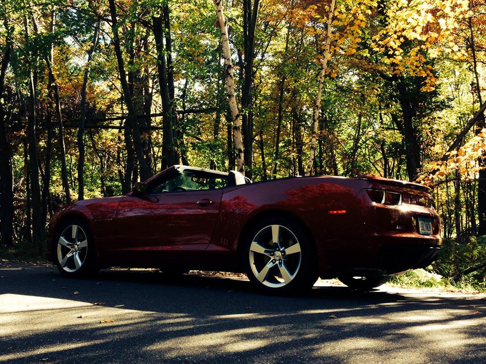 Name:  fall1.jpg
Views: 4070
Size:  185.2 KB