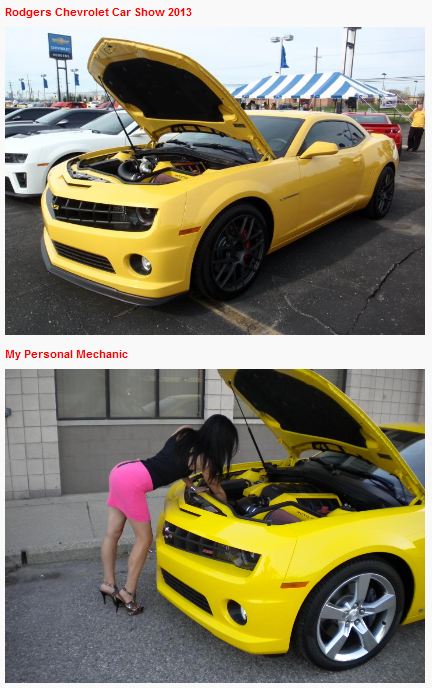 Name:  36COTW.JPG
Views: 2507
Size:  68.7 KB