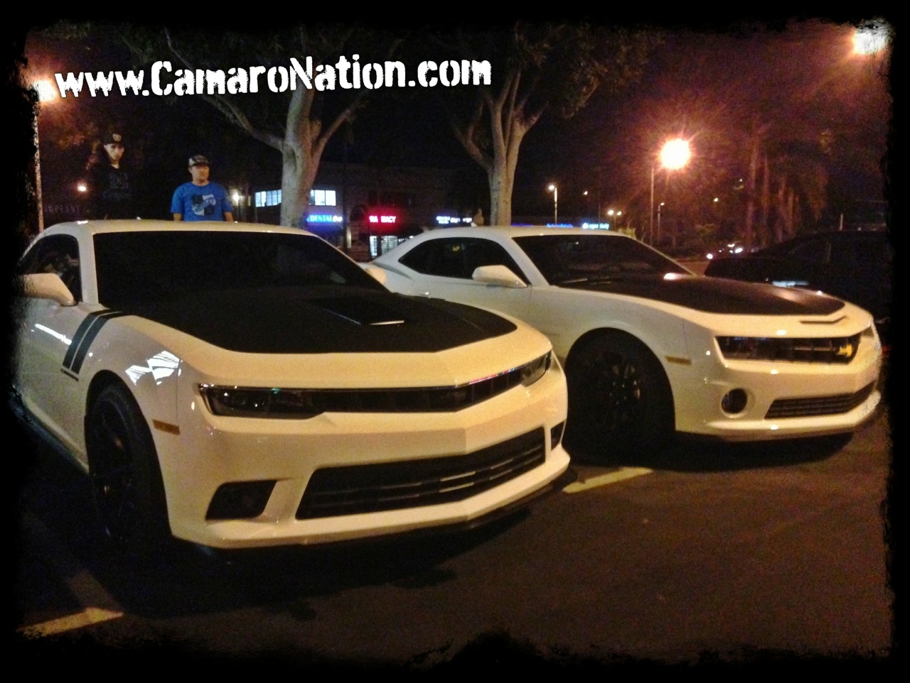 Name:  camaronation-night-1LE-2.JPG
Views: 733
Size:  585.6 KB