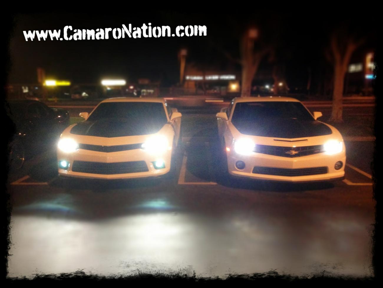 Name:  camaronation-night-1LE-1.jpg
Views: 377
Size:  89.2 KB