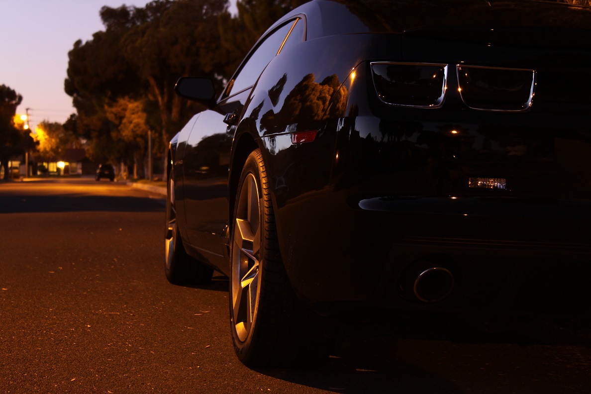 Name:  IMG_1173small.jpg
Views: 1911
Size:  202.4 KB