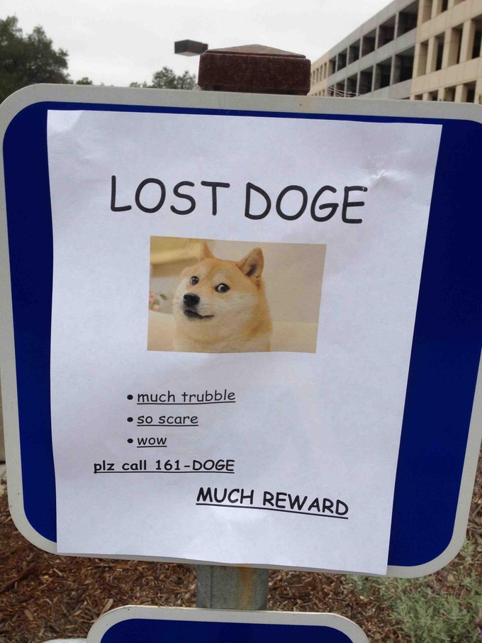 Name:  lost doge.jpg
Views: 3750
Size:  91.6 KB