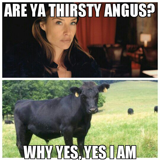 Name:  uploadfromtaptalk1388194381908.jpg
Views: 944
Size:  66.2 KB