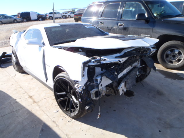 Name:  34626173_1X.jpg
Views: 6004
Size:  79.8 KB