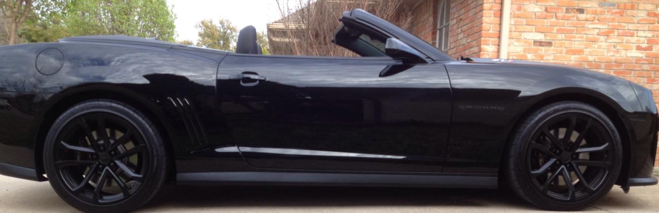 Name:  kittensideview.jpg
Views: 504
Size:  63.1 KB