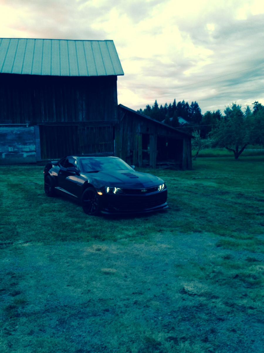 Name:  image.jpg
Views: 2114
Size:  109.2 KB